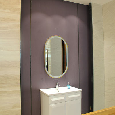 Stainless Steel Oval Framed Wall Mirror with LED Light Luxury Golden Color W60xH100cm