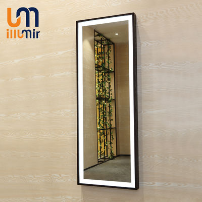 Decoration Illuminated Dressing Room Mirrors Wall Mounted Customized